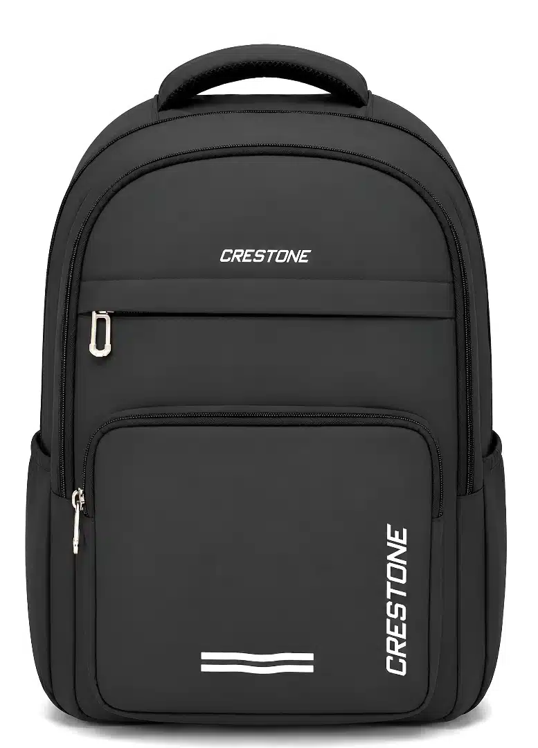 stylish everyday backpack for students